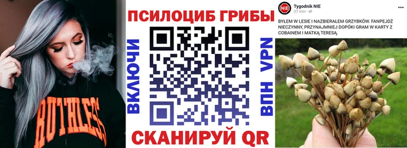 Галлюциногенные грибы Cubensis  купить наркоту  Кемь 